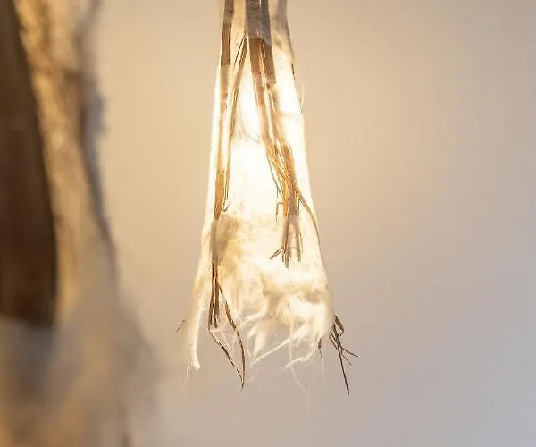 Nido Di Gemma Apartament Ispra